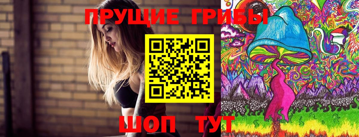 Галлюциногенные грибы Psilocybe Карасук