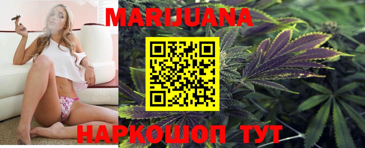 Шишки марихуана конопля Карасук